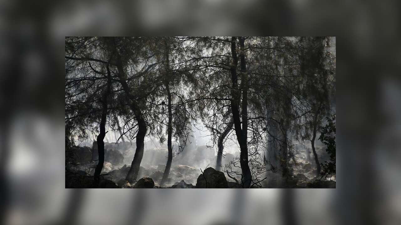 Fethiye'de çıkan orman yangını kontrol altına alındı