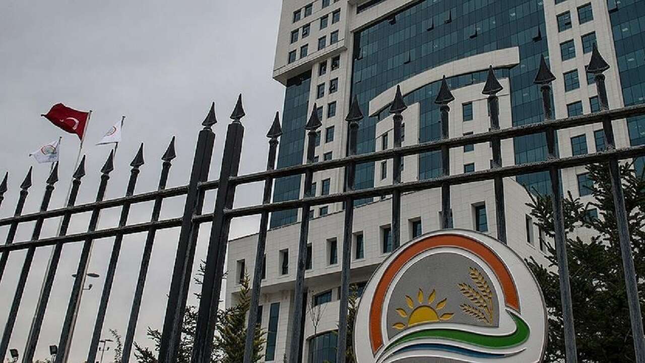 Bakanlık, piyasaya yeni çıkacak gıdalarla ilgili esasları belirledi