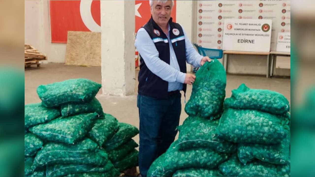 Kapıkule'de 760 Kilogram kum midyesi ele geçirildi!