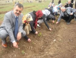 Palandöken Müftülüğü Kız Kur'an Kursu Öğrencileri Fidan Dikti