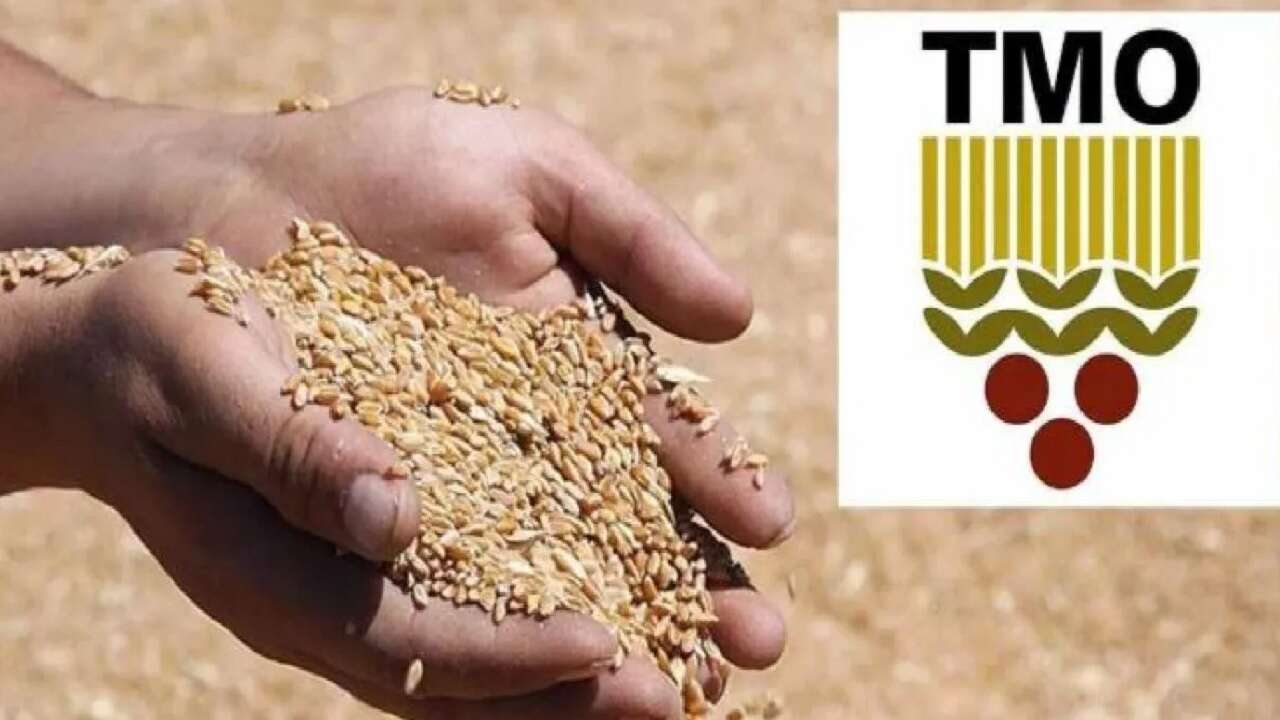 TMO 2026 yılı hububat alım ve satış fiyatlarını açıkladı