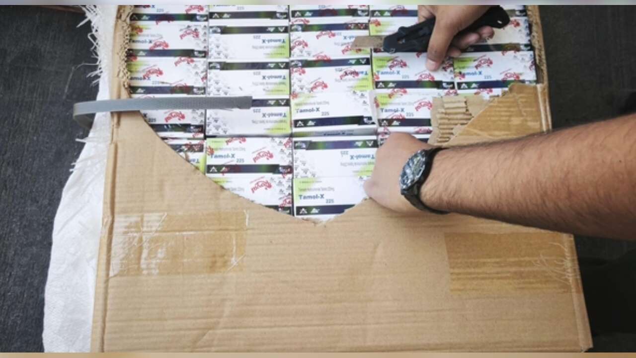 Mersin Uluslararası Limanı'ndaki konteynerde 12 milyon 400 bin kapsül ilaç ele geçirildi