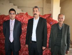 Sivas'ta 4 Yılda 900 Ton Tohumluk Patates Dağıtıldı