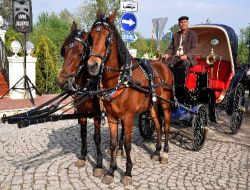 Edirne Faytonları İlk Seferini Vali, Belediye Başkanı Ve Rektörle Yaptı!