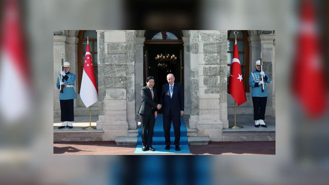 Cumhurbaşkanı Erdoğan, Singapur Başbakanı Wong'u resmi törenle karşıladı