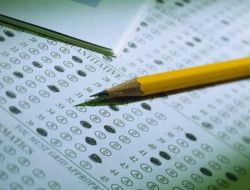 Sbs'nin En Benzer Soruları, Zambak'tan Çıktı!