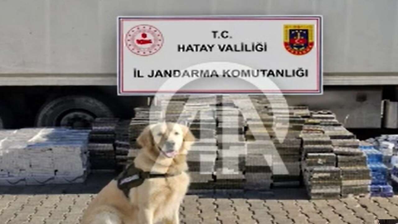 Hatay'da tırda 30 bin paket kaçak sigara ele geçirildi