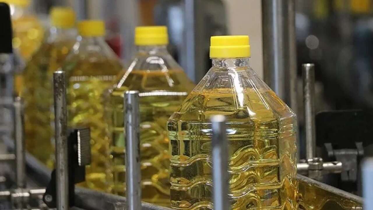 Yağlık ayçiçeği tohumu ve ham ayçiçeği yağı ithalatında tarife kontenjanı açıldı