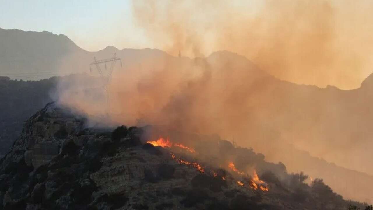 Girit Adası'nda orman yangınları başladı