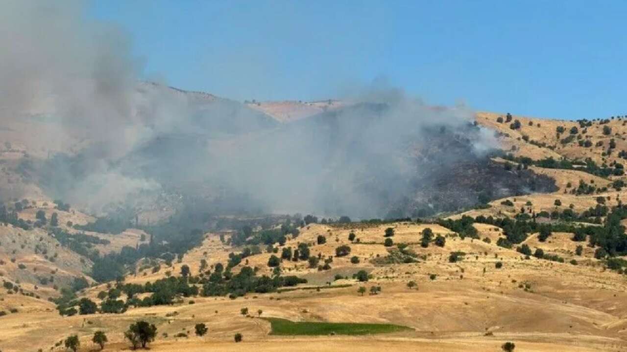 Muğla ve Diyarbakır'da çıkan orman yangınlarına müdahale ediliyor