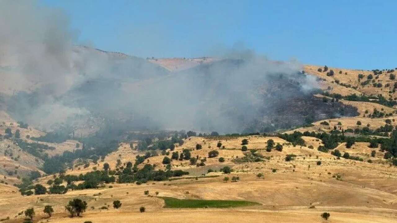 Diyarbakır'da çıkan orman yangınına müdahale ediliyor