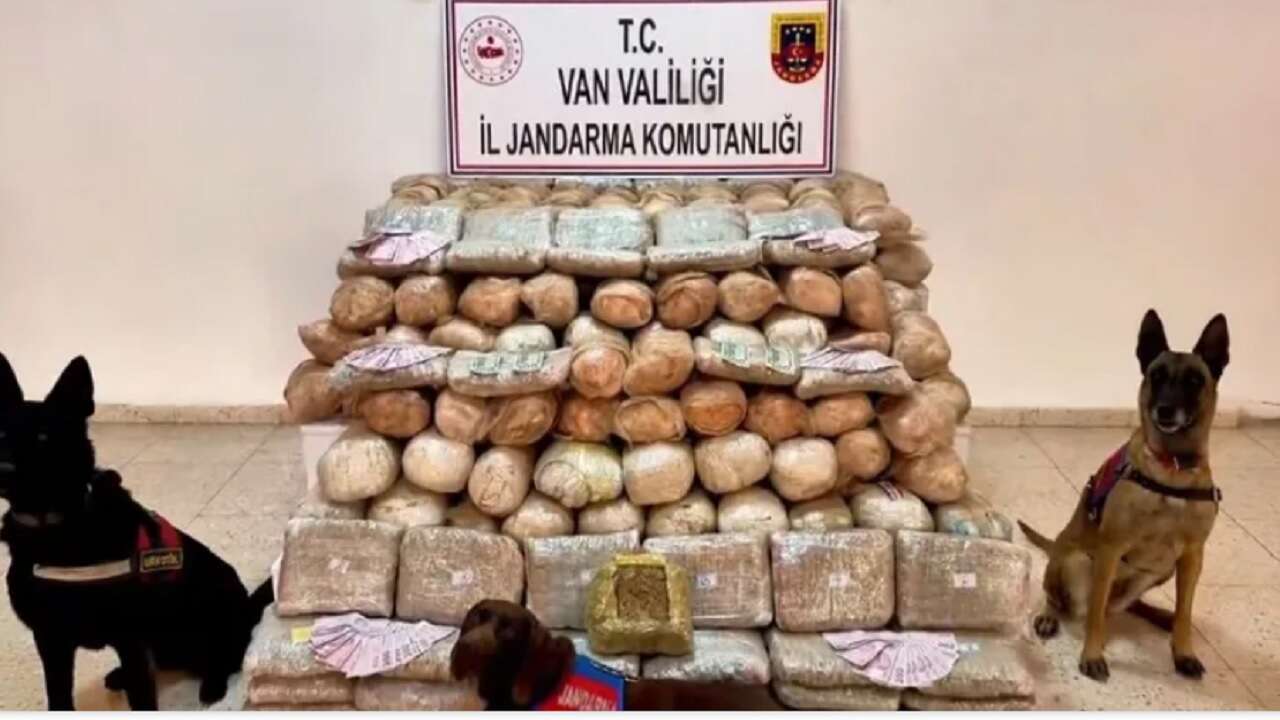 Van’da düzenlenen operasyonda 333 kilogram skunk ele geçirildi