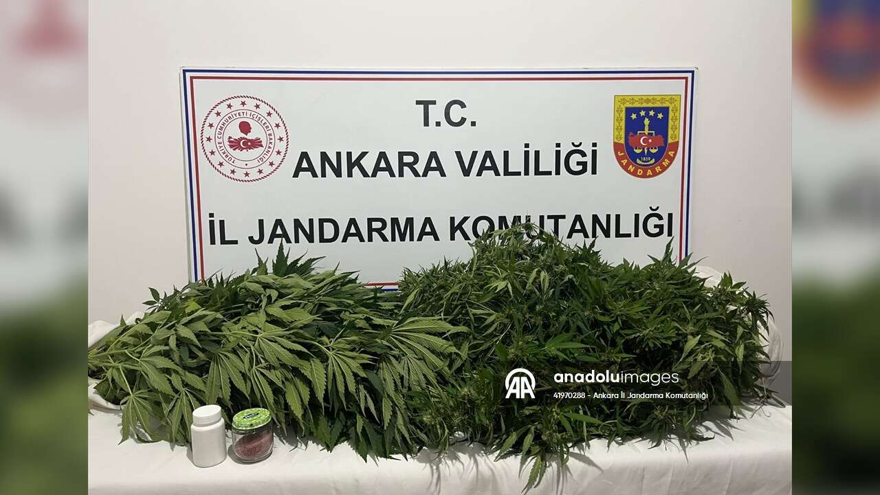 Haymana'daki uyuşturucu operasyonunda 1 şüpheli yakalandı