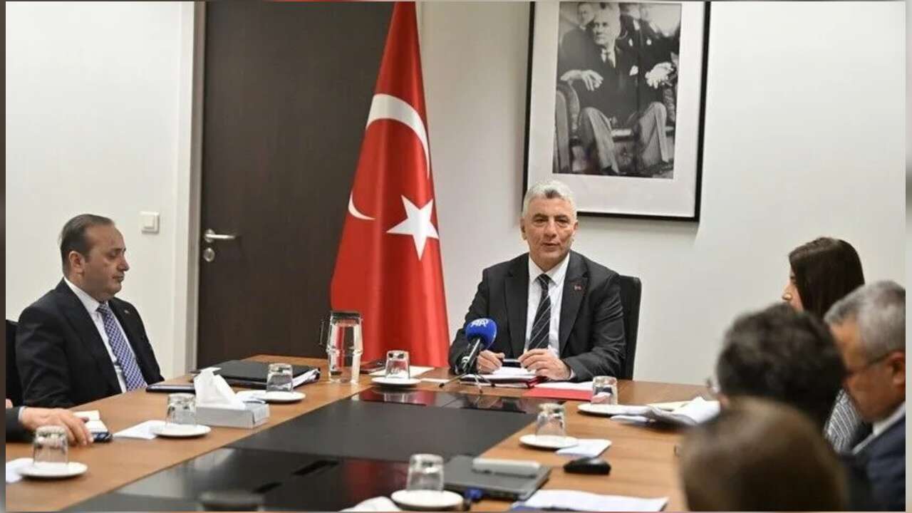 Bolat: Ekonomik entegrasyon Türkiye'yi AB ekonomik alanının bir üyesi konumuna getirmiştir