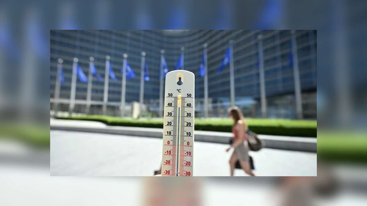 Belçika'da sıcak hava dalgasının yol açtığı ölümler 2 bini aştı!