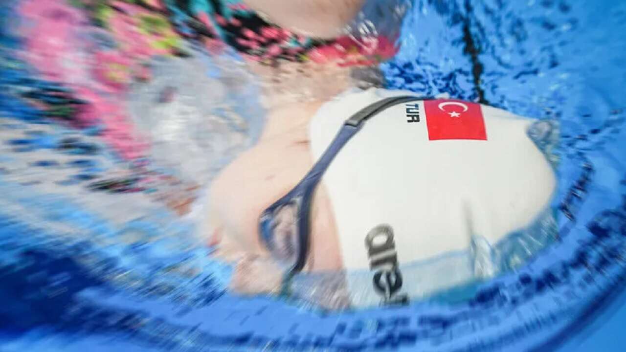 Milli yüzücüler, Bulgaristan'da 31 madalya kazandı