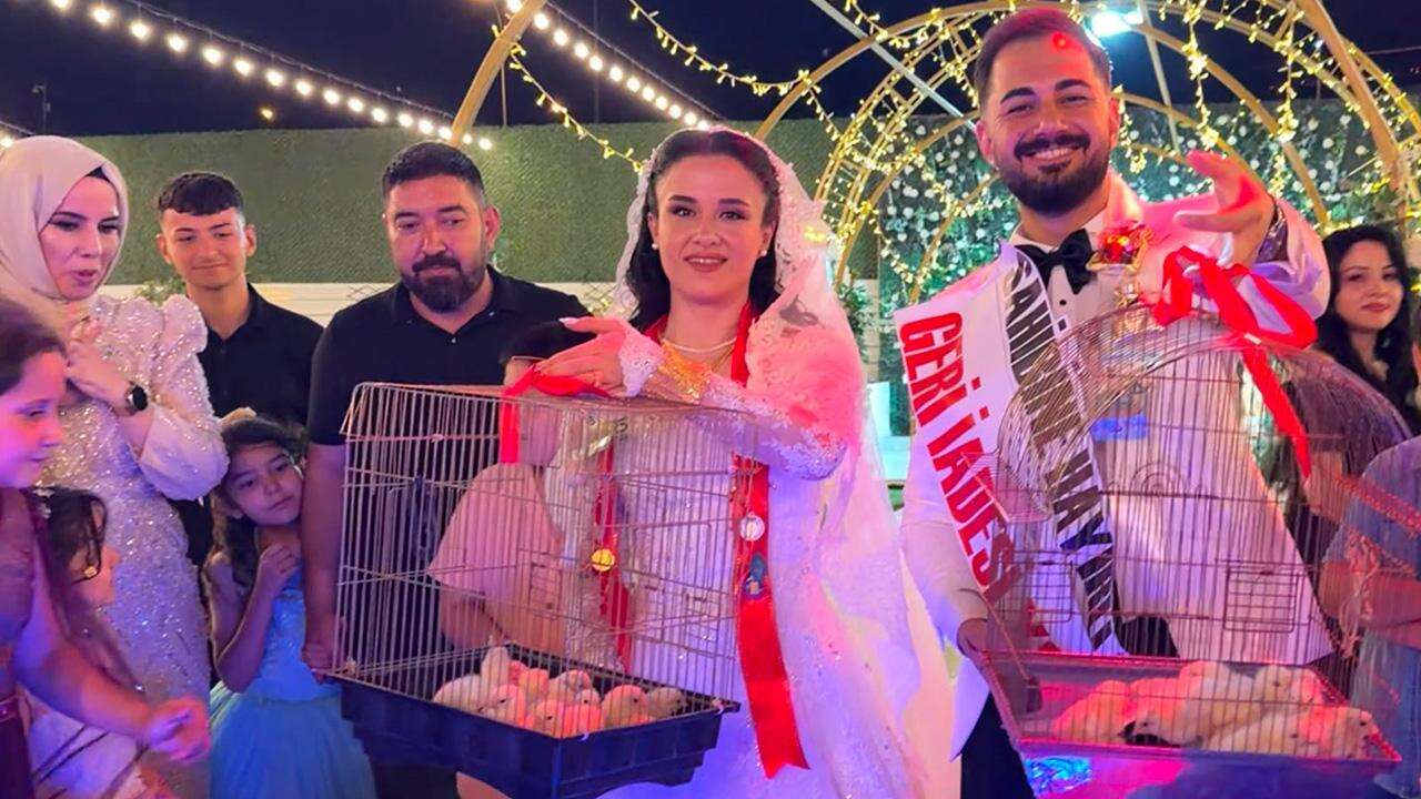 Kahramanmaraş'ta bir düğünde altın yerine 100 civciv taktı!