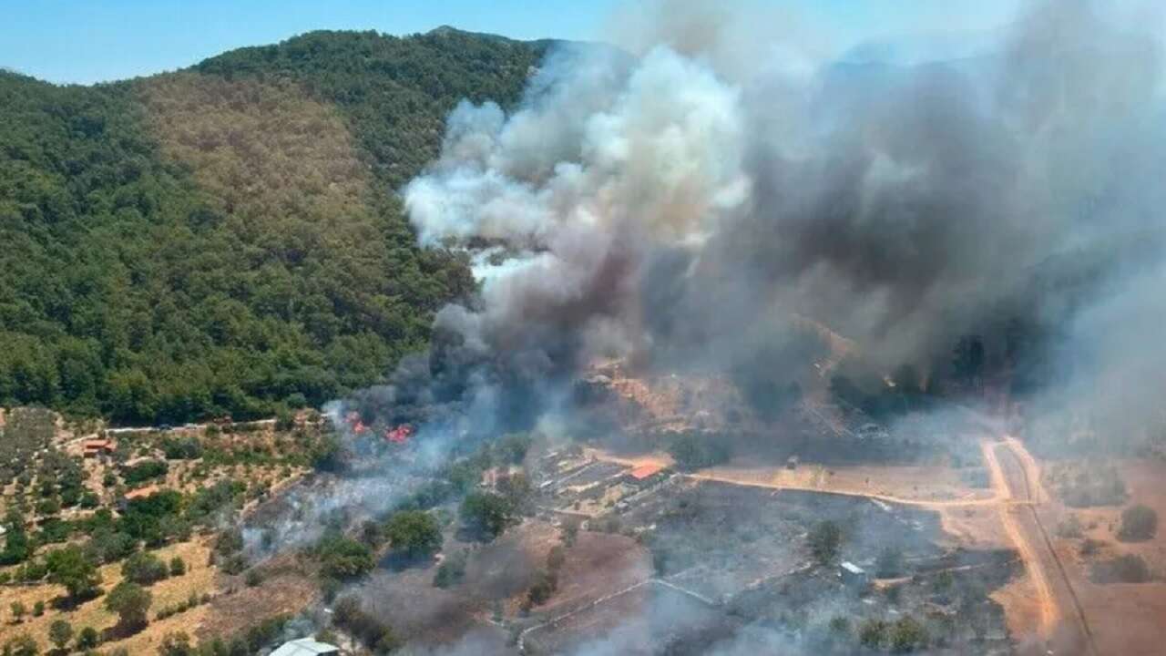 Fethiye'de çıkan orman yangınına havadan ve karadan müdahale ediliyor