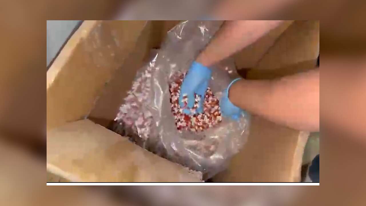 Ankara'da Düzenlenen Operasyonda 358 Bin 100 Adet Uyuşturucu Hap Ele Geçirildi