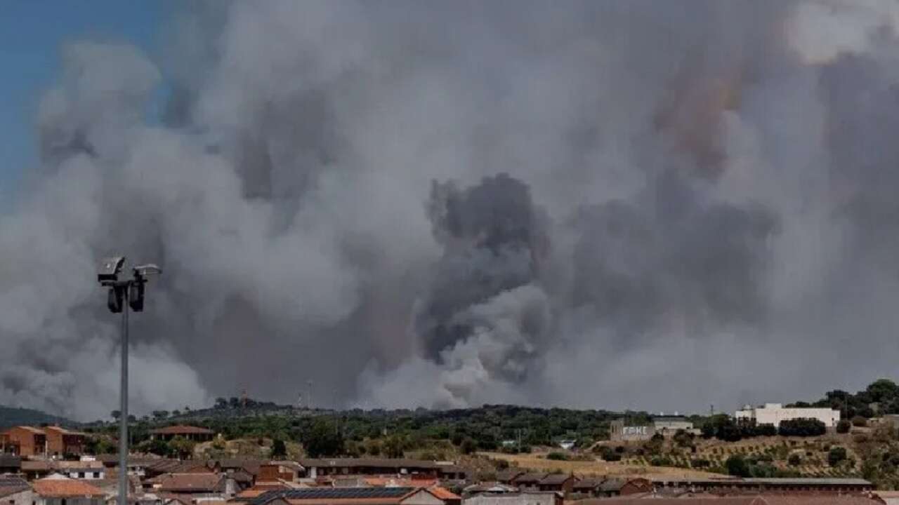 İspanya'nın Madrid ve Avila kentlerinde orman yangınları nedeniyle yaklaşık 60 bin kişi tahliye edildi