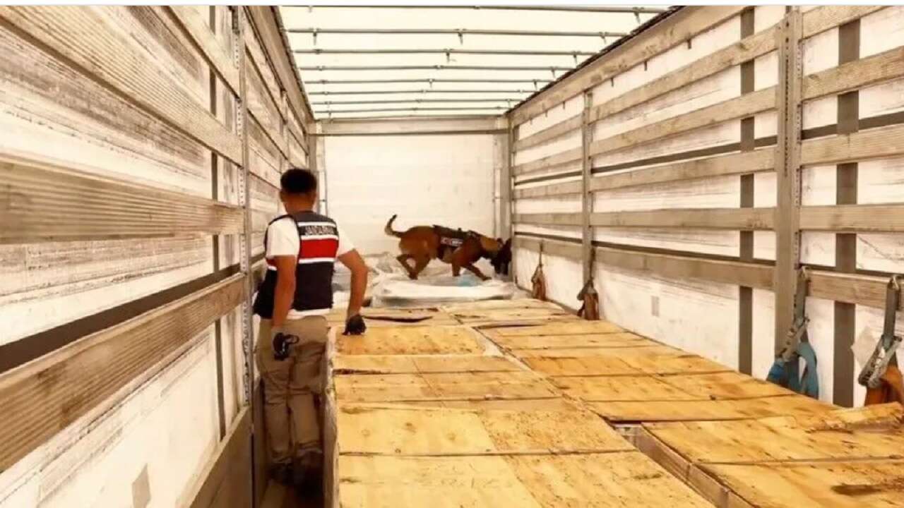 24 ildeki uyuşturucu operasyonlarında 80 kişi tutuklandı