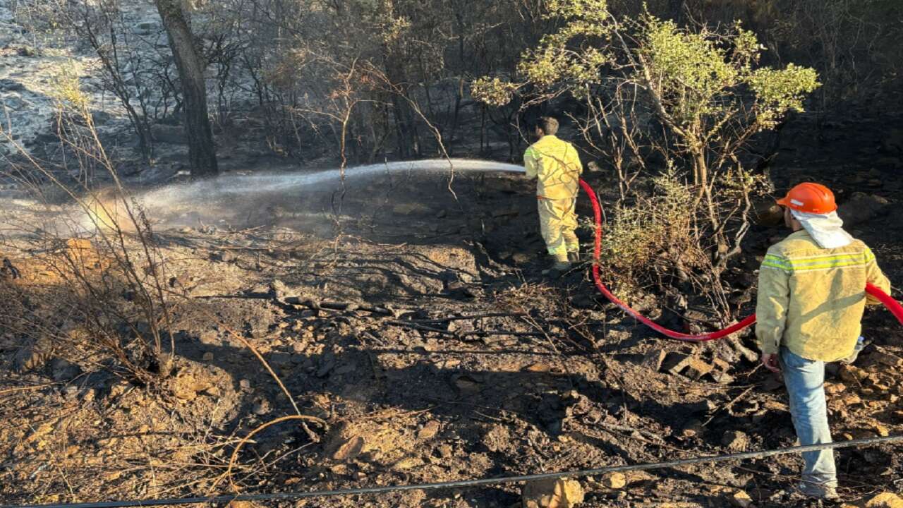 Muğla, Antalya, Balıkesir ve Çanakkale'deki orman yangınlarına müdahale ediliyor