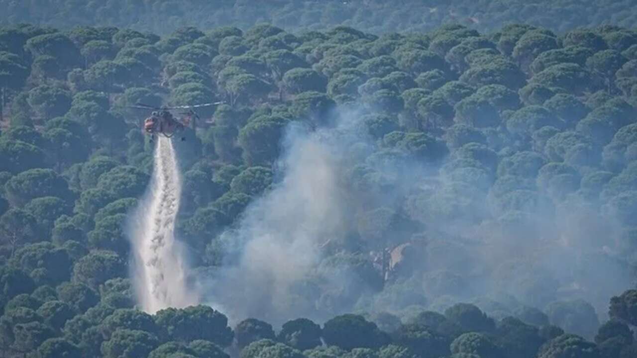 Aydın, Balıkesir, Antalya, Muğla ve İzmir'deki orman yangınlarına müdahale sürüyor