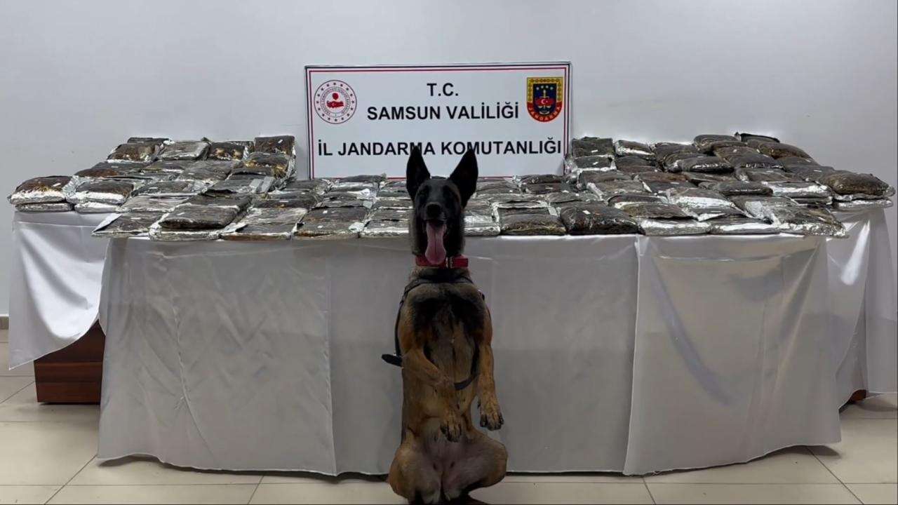 Samsun'da bir tırda 132 kilogram uyuşturucu ele geçirildi