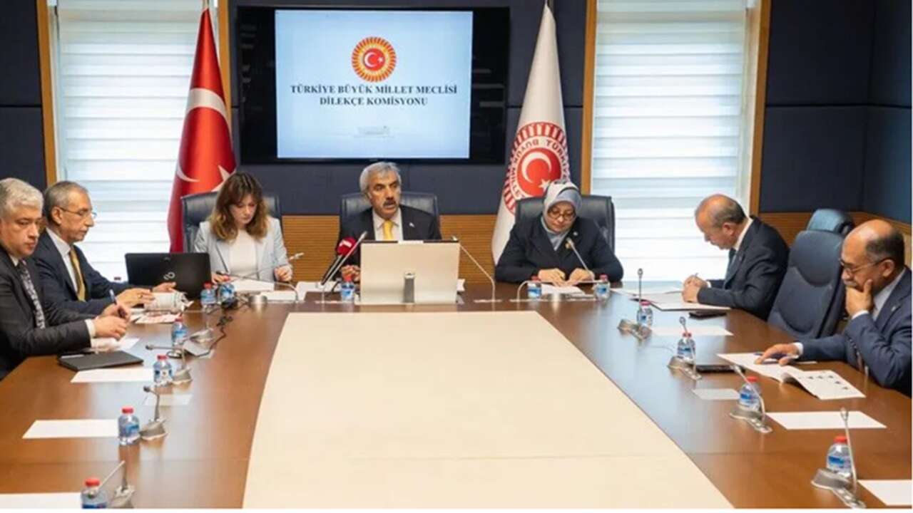 Meclise "İstanbul kışlık, Ankara yazlık başkent olsun" başvurusu