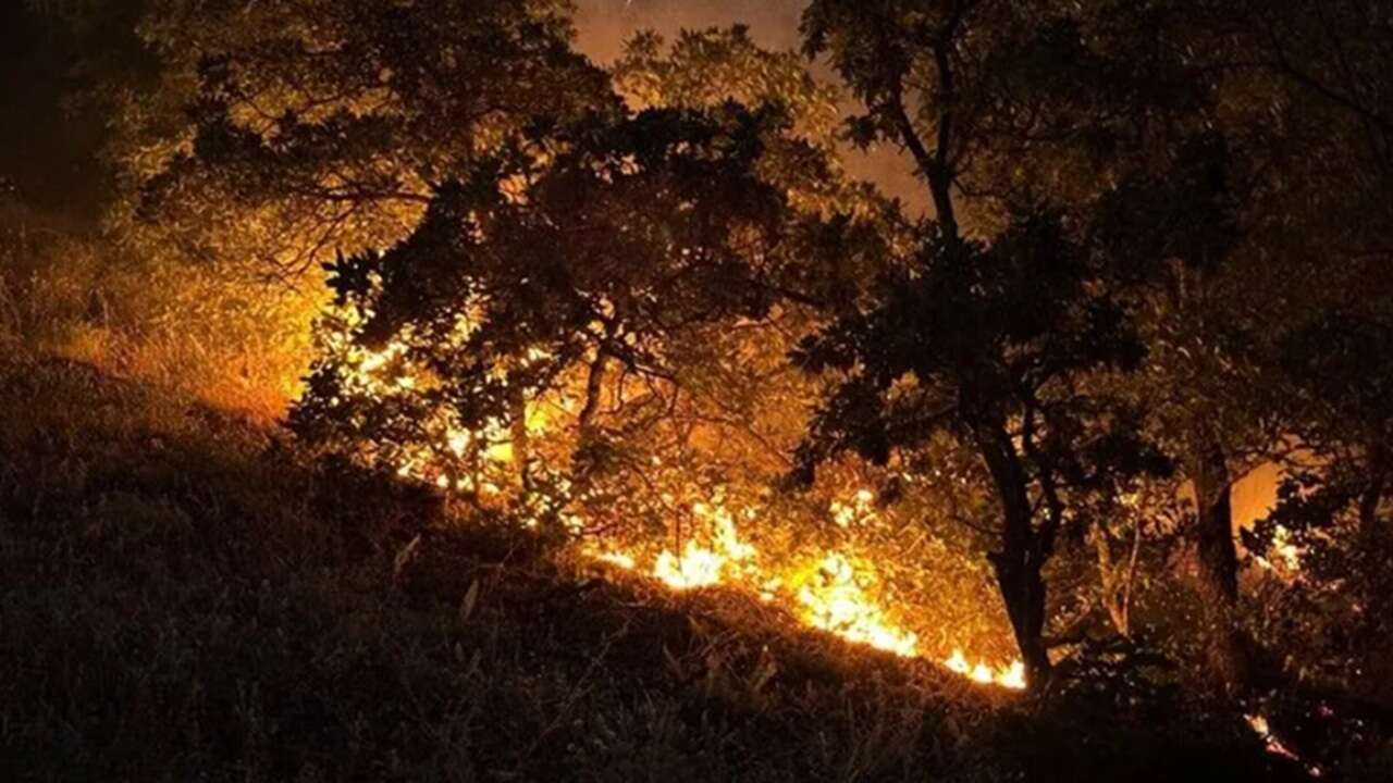 Munzur Vadisi Milli Parkı'ndaki orman yangınına müdahale ediliyor