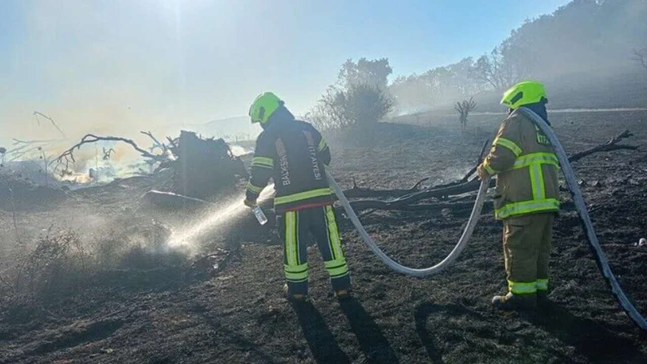 Balıkesir ve Malatya'da çıkan orman yangınları kontrol altına alındı