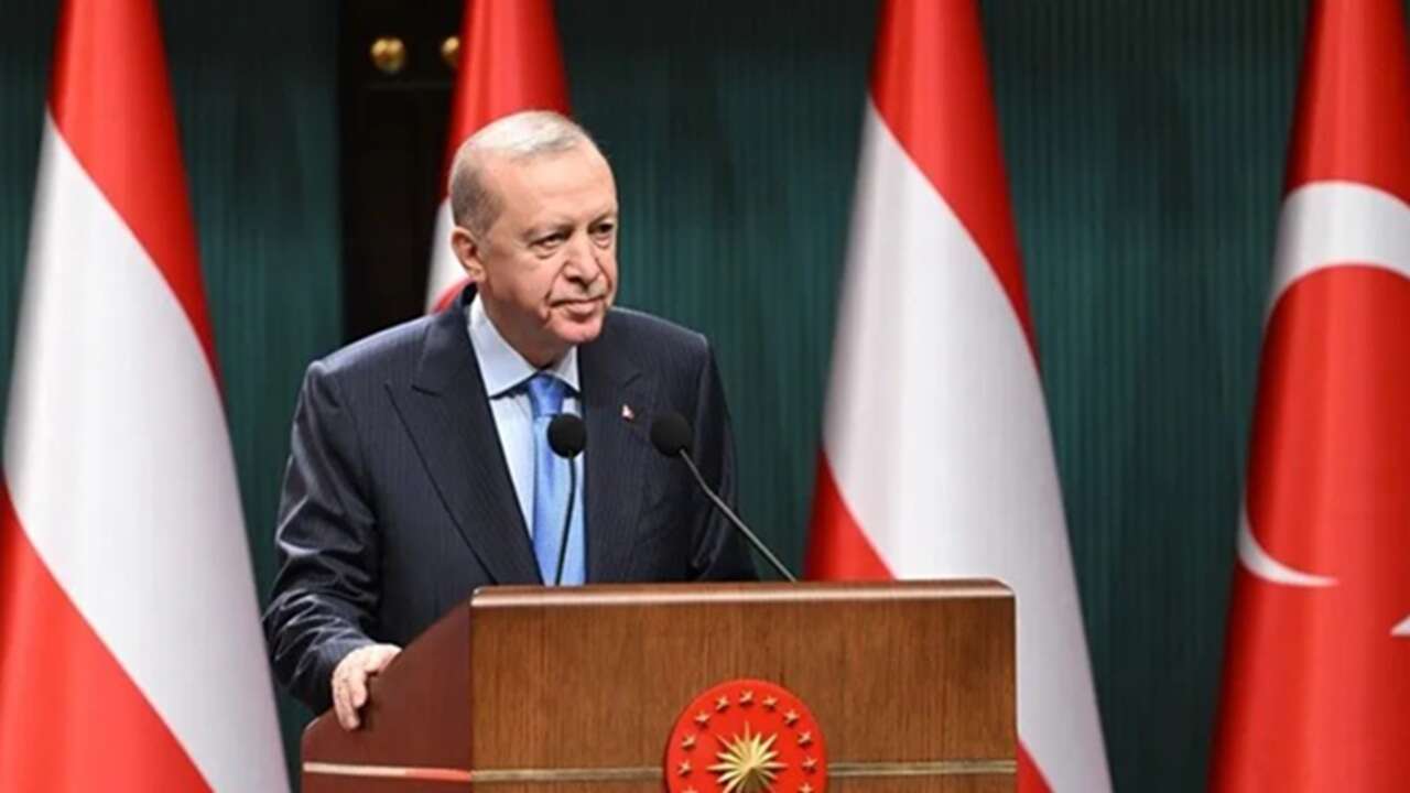 Cumhurbaşkanı Erdoğan: Avusturya ile önemli işbirliği potansiyeline sahibiz