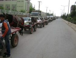 Kızıltepe'de At Arabalı Eylem Yapıldı