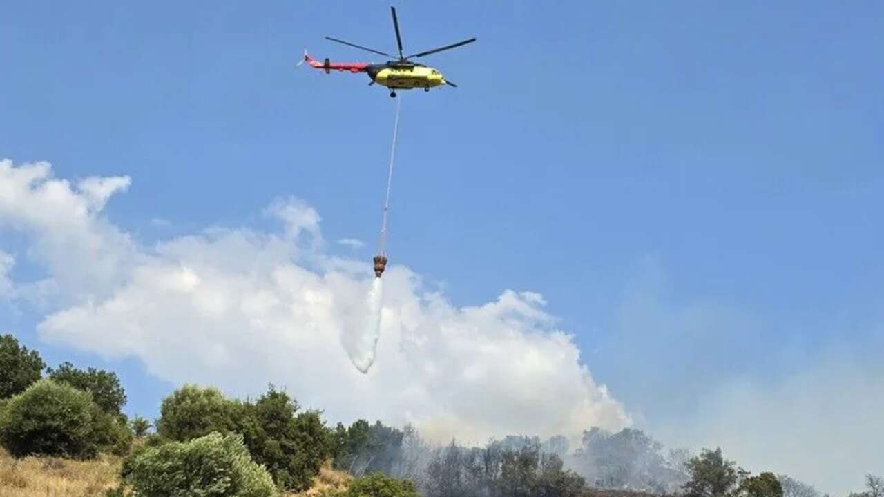 Bakan Gürlek, orman yangını soruşturmalarında 12 şüphelinin tutuklandığını açıkladı
