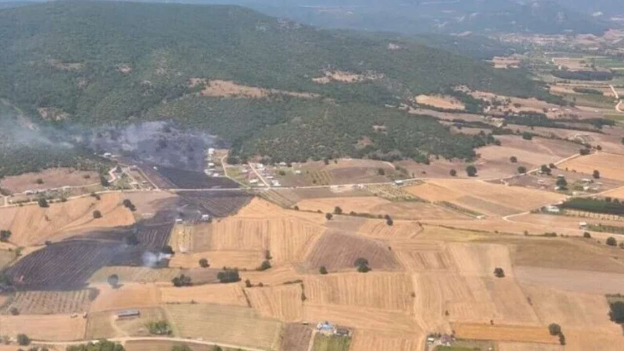 Bursa'da çıkan orman yangınına müdahale ediliyor