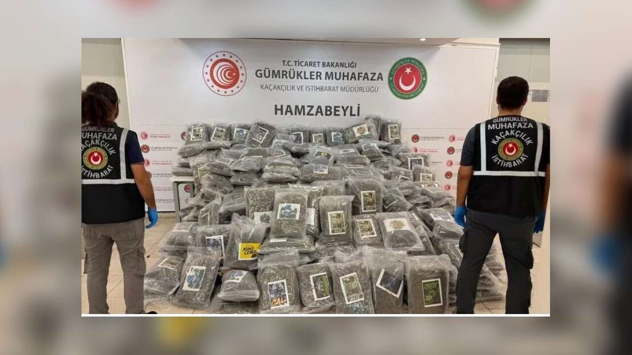 Hamzabeyli Sınır Kapısı'nda bir tırda yaklaşık 288 kilogram esrar ele geçirildi