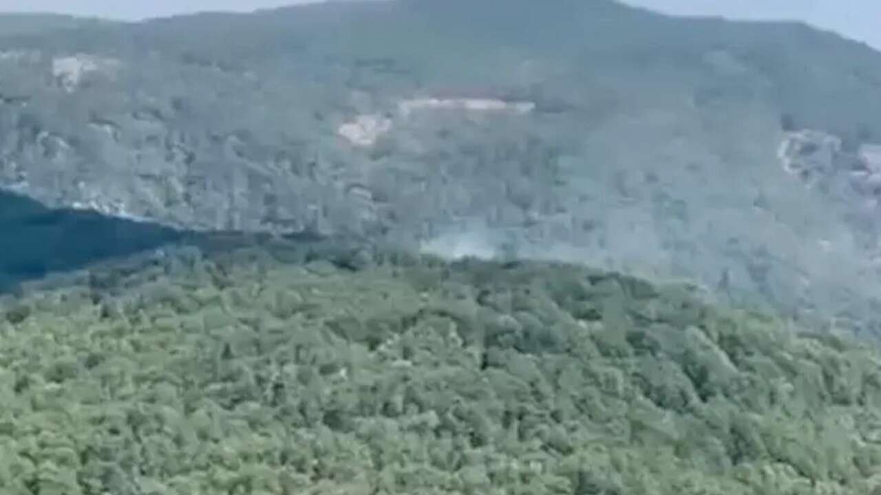Edremit'te çıkan orman yangını kontrol altına alındı