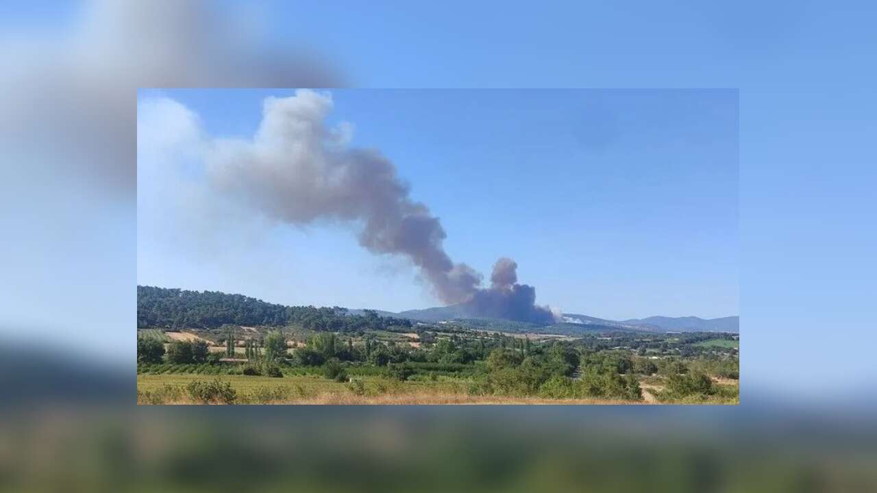 Çanakkale'de çıkan orman yangınına müdahale ediliyor