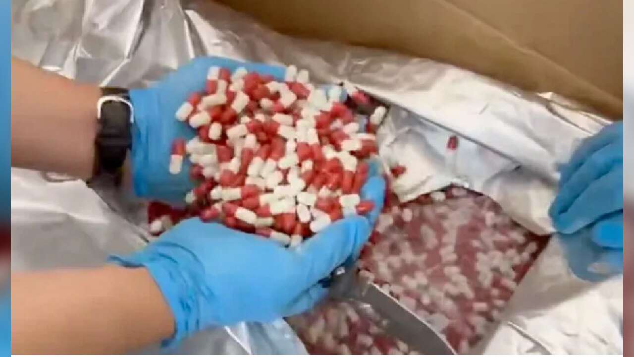 28 ildeki uyuşturucu operasyonlarında 80 şüpheli tutuklandı