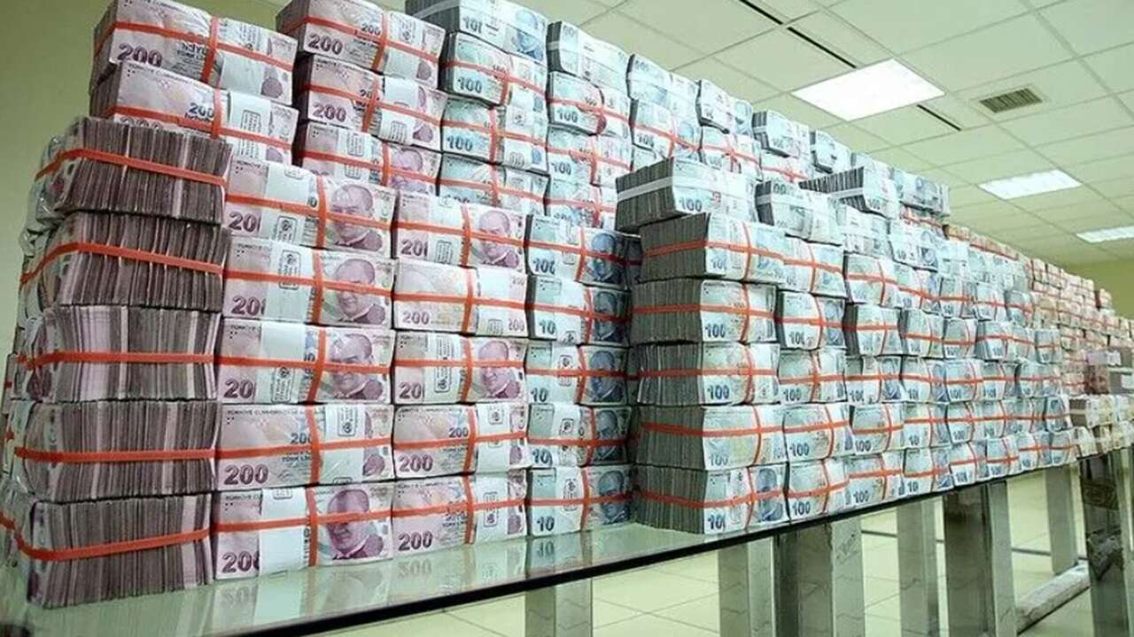 Türk lirası mevduatın payını artırma politikaları sürdürülecek