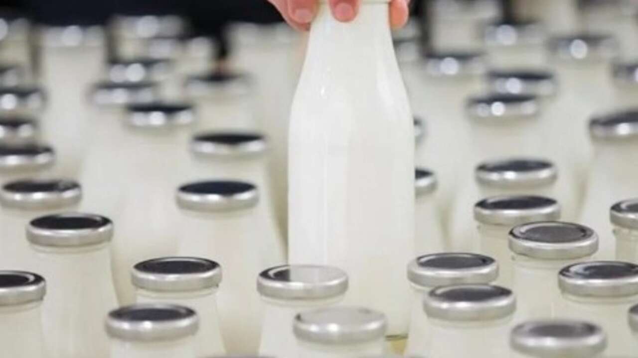 İçme sütlerinde yeni düzenleme: Sadece doğal aroma vericiler kullanılabilecek