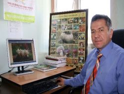 Kestane Meyvesinin Dış Kabuğunda Yetişen Yeni Bir Mantar Keşfedildi