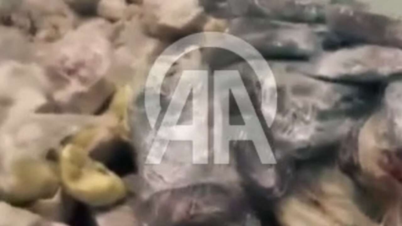 Başkentte halk sağlığını tehlikeye atan 104 Ton et ve et ürünü ele geçirildi
