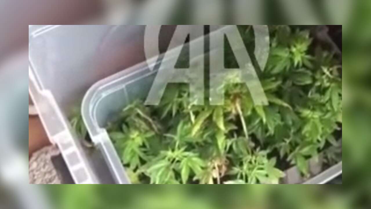 Uyuşturucu üretimi için evinde iklimlendirme sistemi kuran şüpheli yakalandı