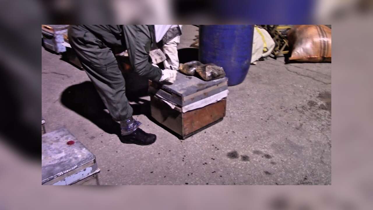 Arı Kovanlarına Gizlenmiş 91,1 Kg Uyuşturucu Ele Geçirildi!