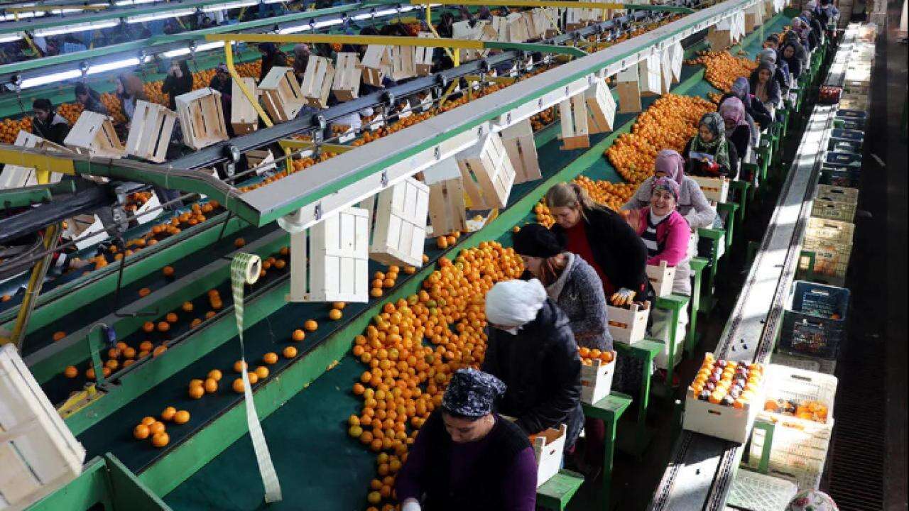 Türkiye ihracatında 9 ayda 211 milyar dolarlık rekor