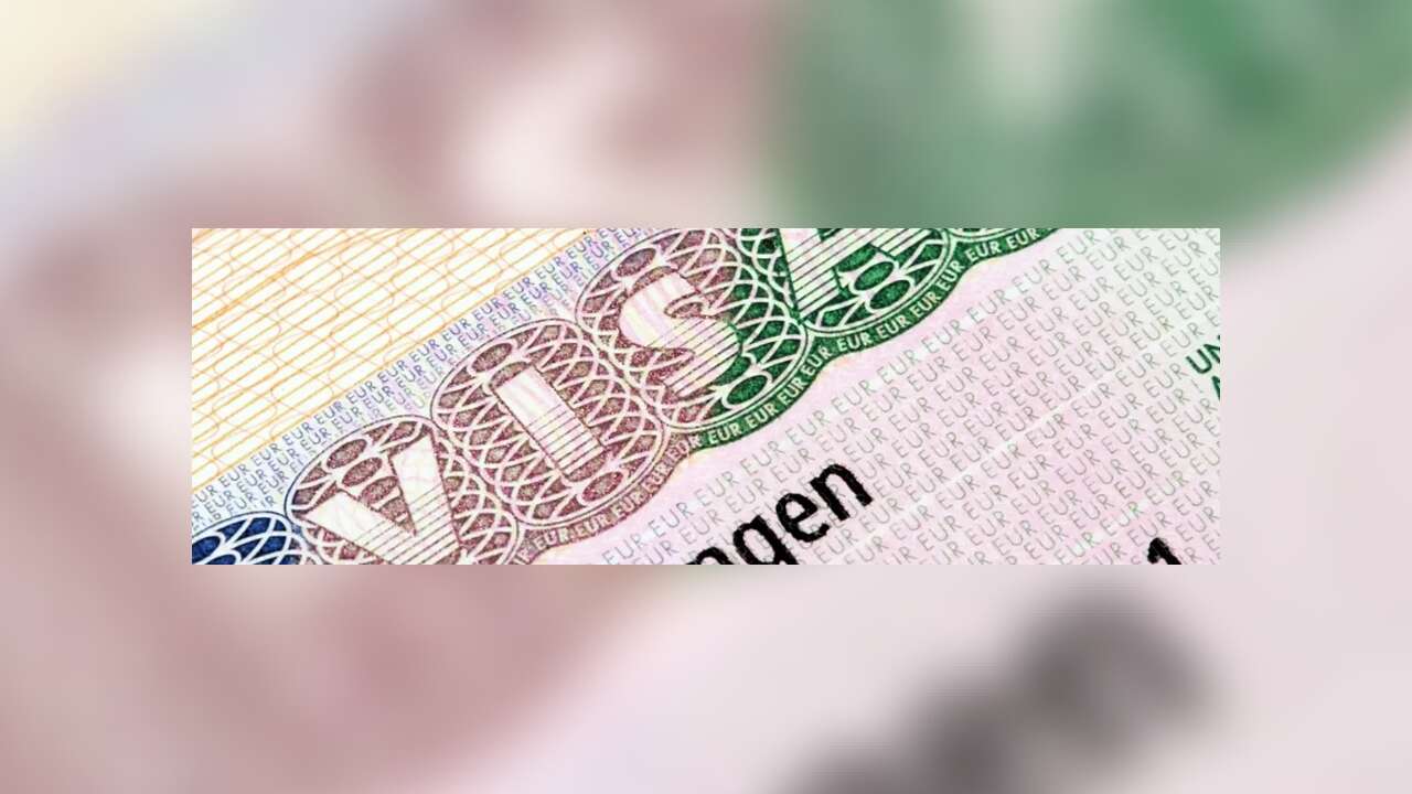 İstanbul'daki vize danışmanlığı soruşturmasının ikinci operasyonu