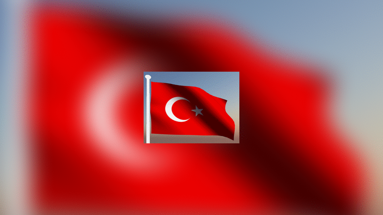 Cumhurbaşkanı Erdoğan'ın 29 Ekim programı belli oldu