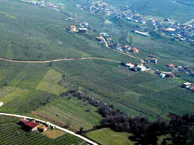 Devletin Hangi İlde Ne Kadar Neyi Var?