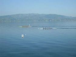 Kürekte Yılın İlk Kupası Fenerbahçe'nin..